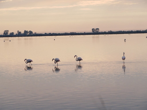 Greece Bird Tours-Marathon必去景点