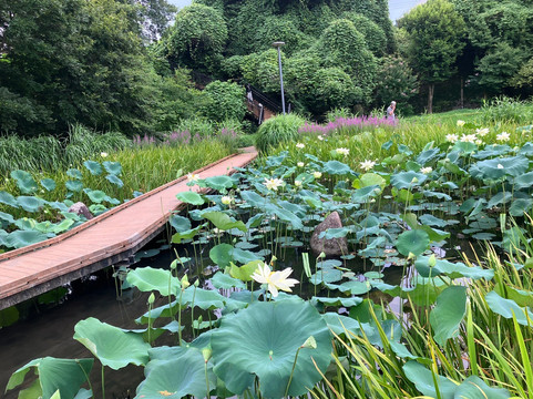 Tachikawa Park-立川市必去景点