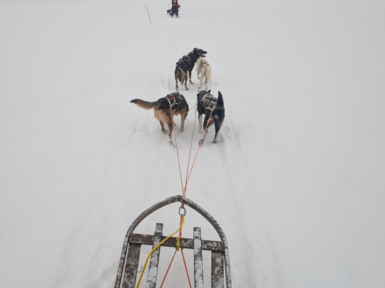 Activenorth-Skibotn必去景点