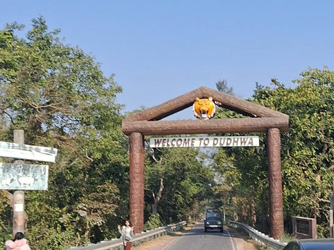 Dudhwa National Park-Dudhwa National Park必去景点