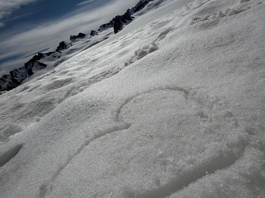 HeliServicesNZ Haast-Haast必去景点