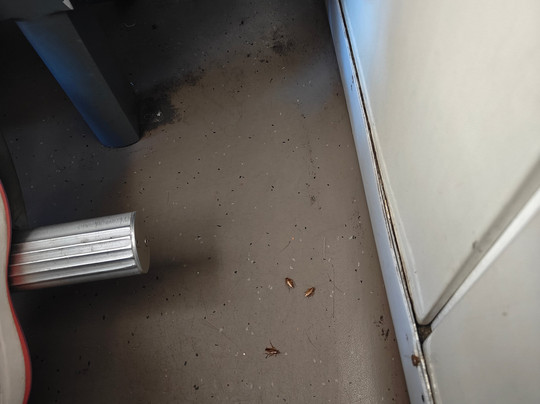 The Ella Odyssey Train-康提必去景点