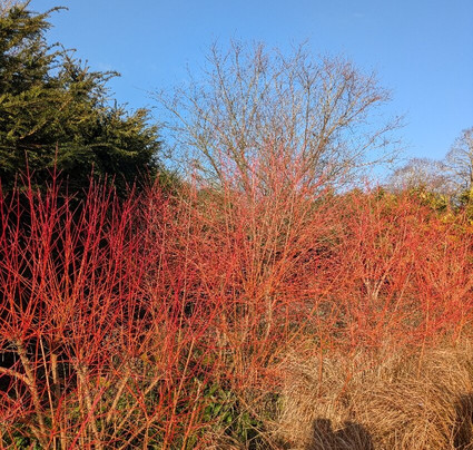安格尔西修道院-Lode必去景点