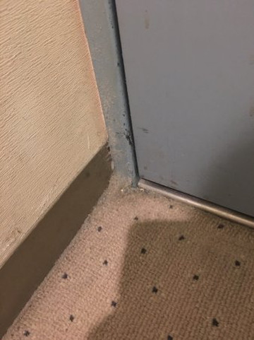 大阪瑞士南海酒店主图