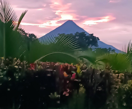 Picpra Speciality Coffee