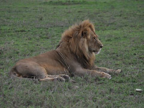 Angelino Adventures-莫西必去景点