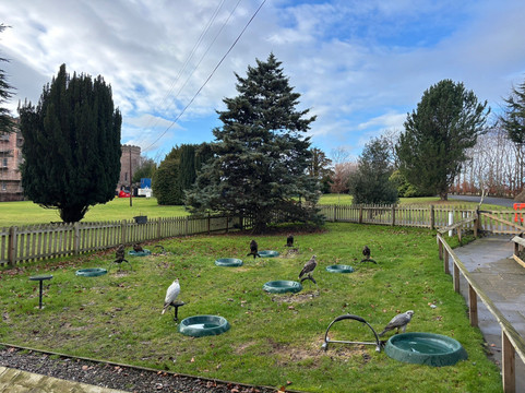 Dalhousie Castle Falconry-邦尼里格必去景点