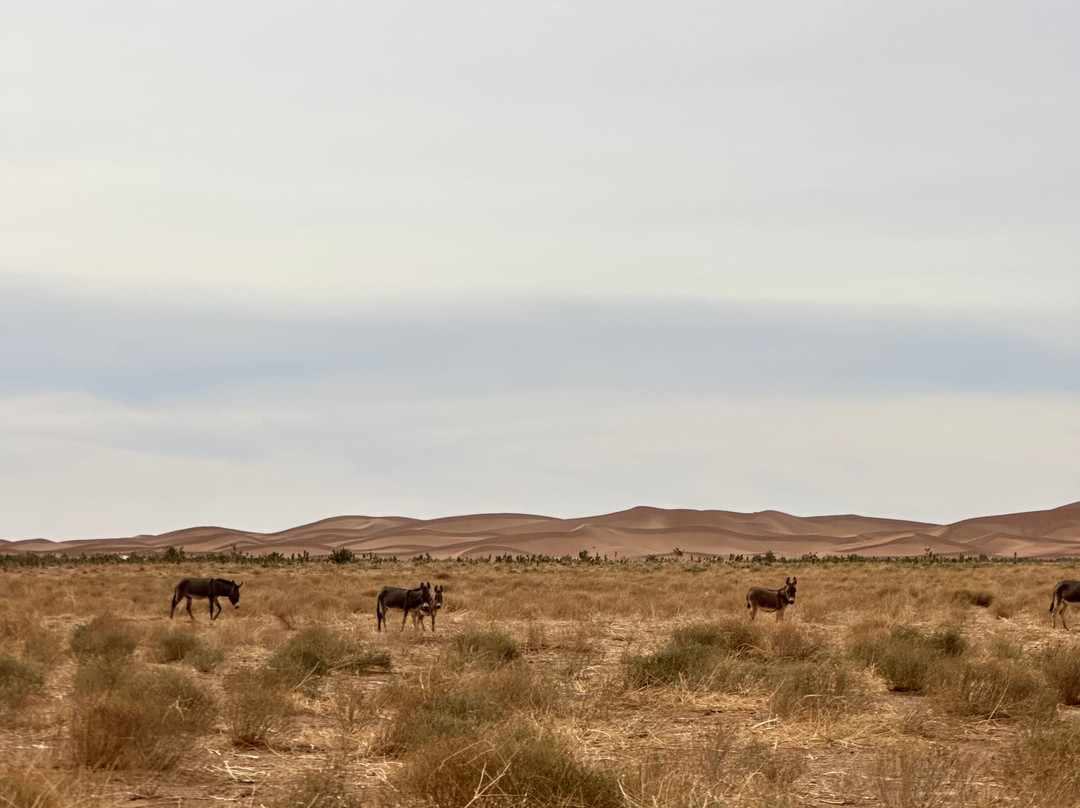 Viaggioneldeserto-扎古拉必去景点