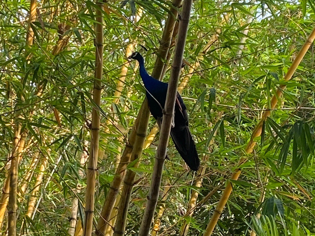 金欧雅旅馆主图