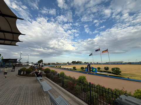 Melbourne Greyhounds - The Meadows-Broadmeadows必去景点