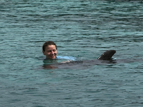 Dolphin Academy Curacao-威廉斯塔德必去景点