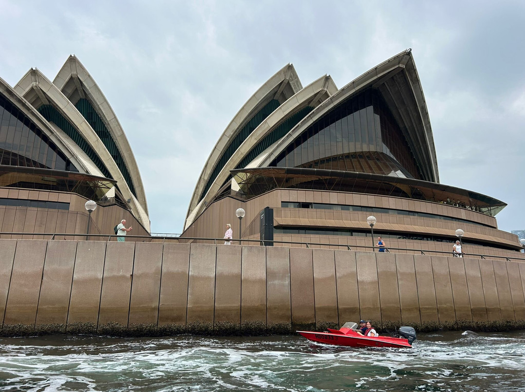 Explore Sydney Harbour-Rose Bay必去景点
