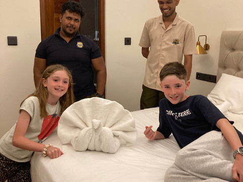 基图尔加拉雨林精品摩克沙主图