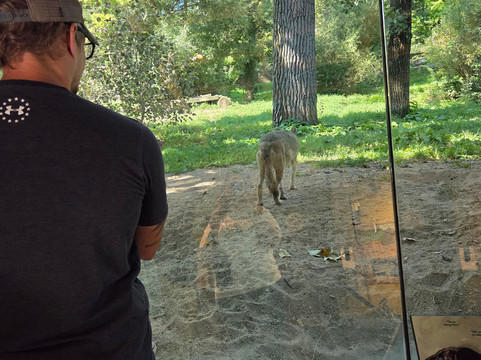 Brookfield Zoo-Brookfield必去景点