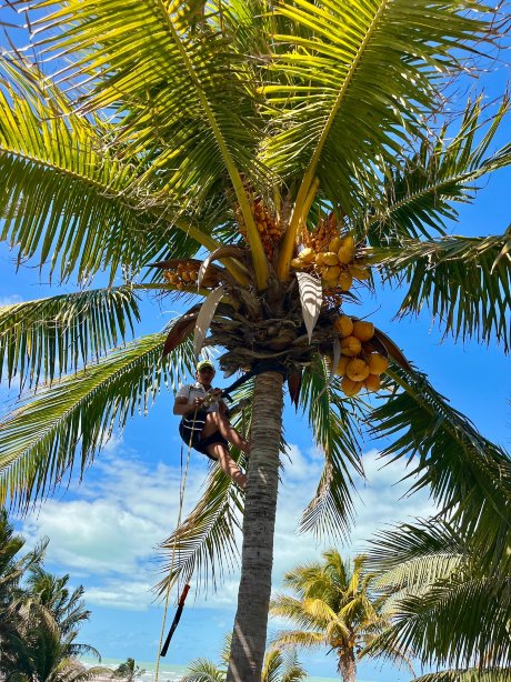 切洛民宿酒店-酒店景观