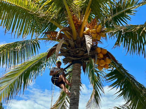切洛民宿酒店主图