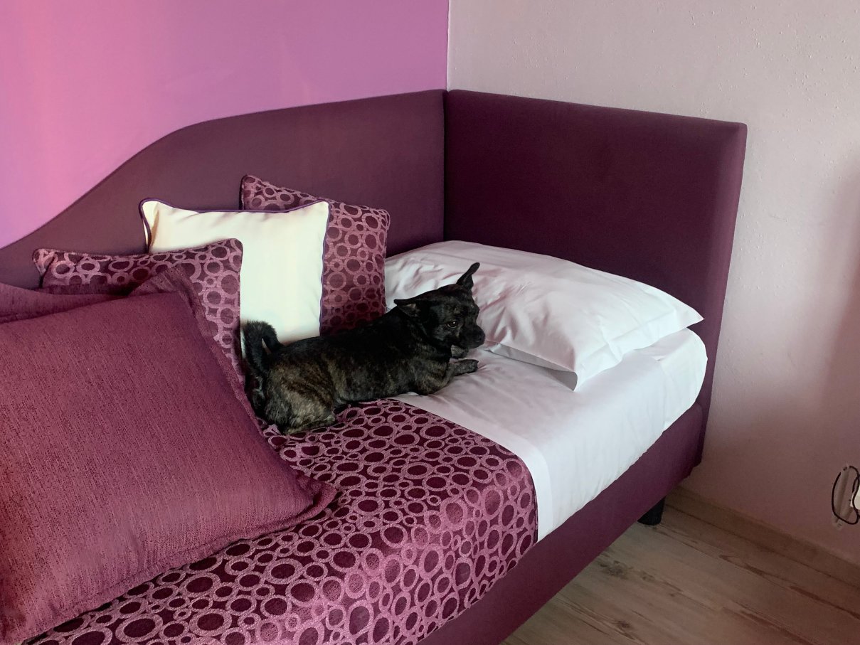 拉涅利宫酒店-官方