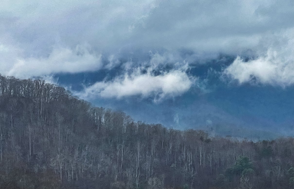 怀尔德贝里旅馆-官方