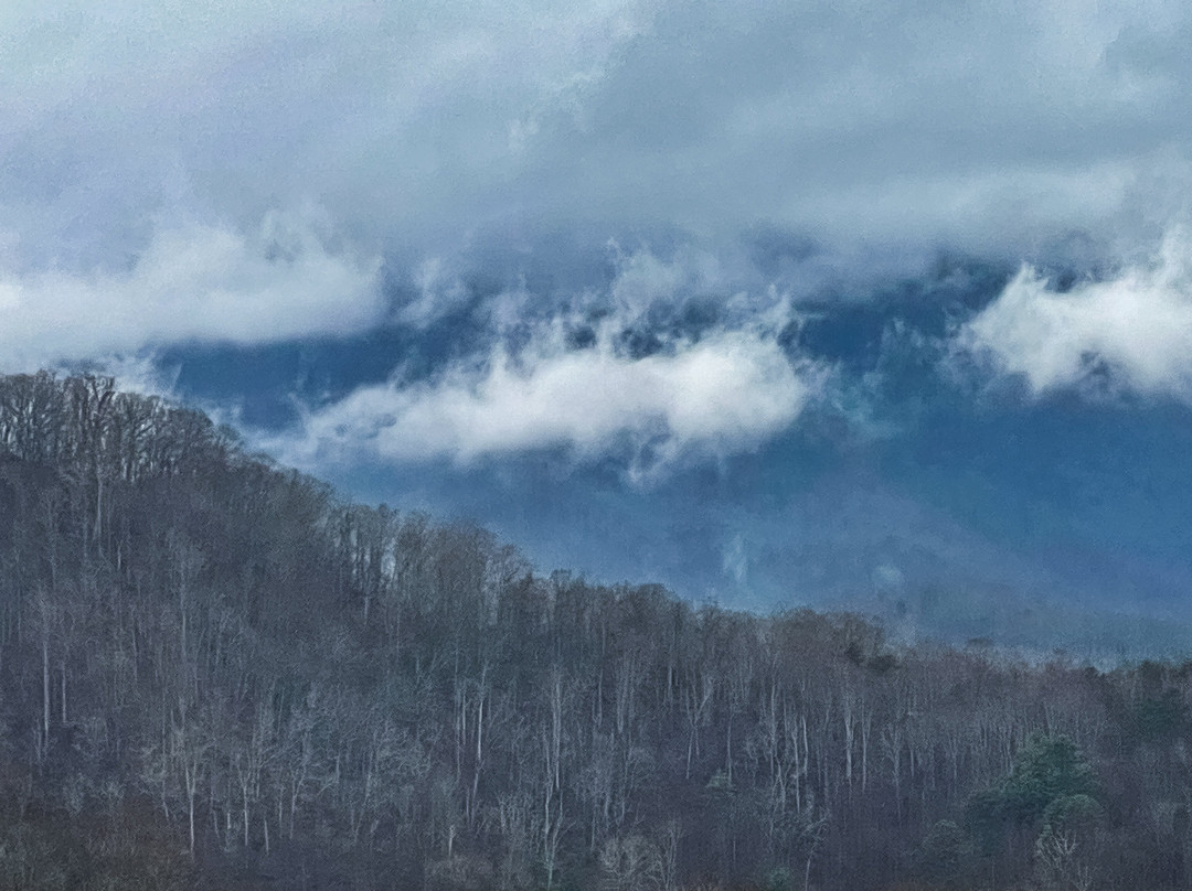 怀尔德贝里旅馆主图