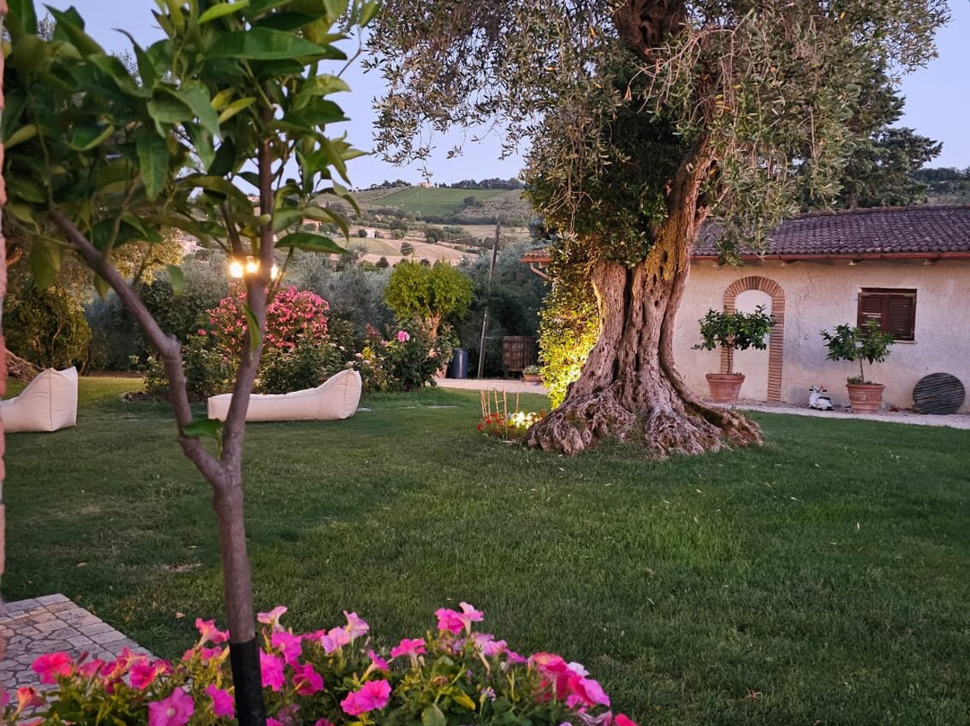 Azienda Agricola Vignamato-San Paolo di Jesi必去景点