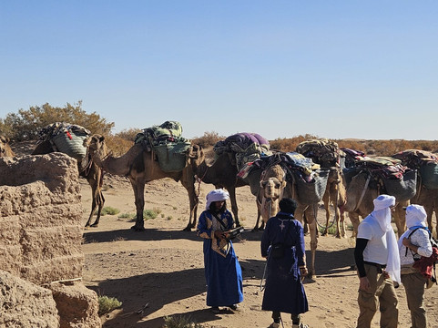 Wild Morocco-扎古拉必去景点