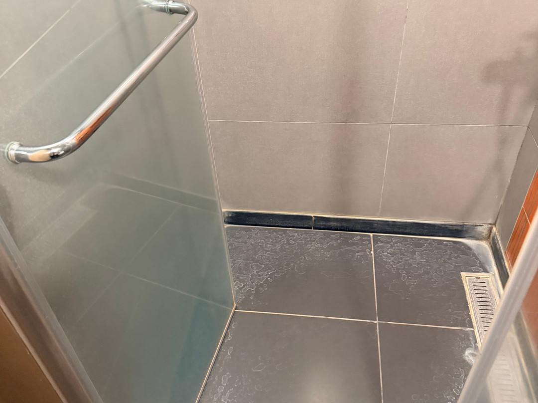 金格尔金奈OMR主图