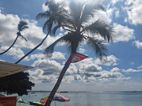 Tropical Sea Divers-博卡奇卡必去景点