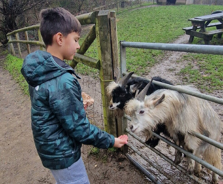 Aston Springs Farm-罗瑟勒姆必去景点