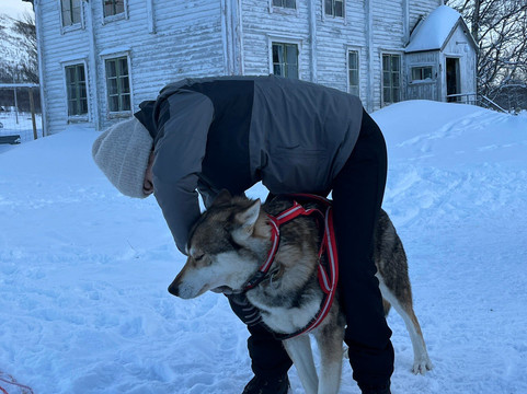 Saltenguidene-Rokland必去景点