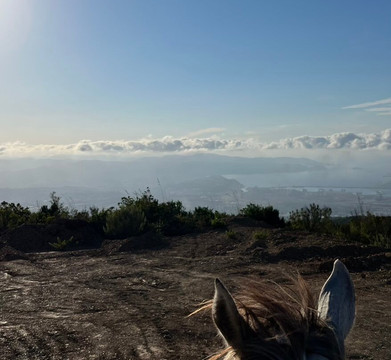 Services d'Or Algérie-Skikda必去景点