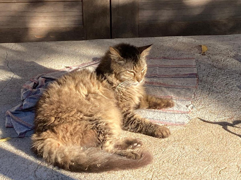 Hridaya Yoga-Mazunte必去景点