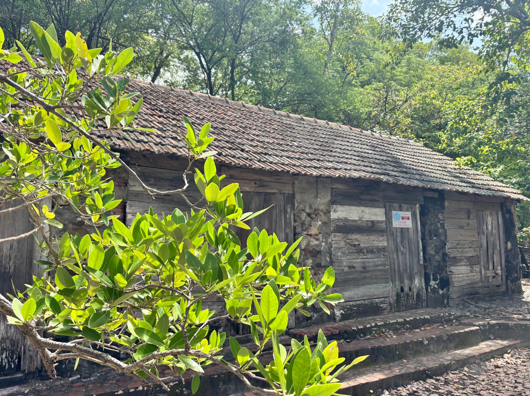Matt'Excursions Nautiques-Le Francois必去景点