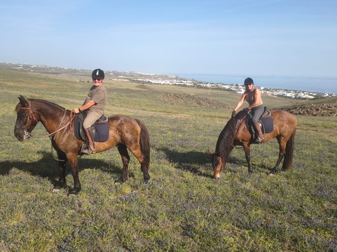 Horses Lanzarote-Teseguite必去景点