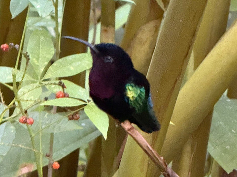 Jardin Botanique de Valombreuse-Petit-Bourg必去景点