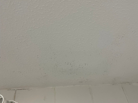 普瑞米尔沃灵顿中心酒店主图