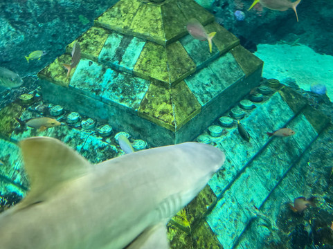 LEGOLAND Japan-名古屋市必去景点