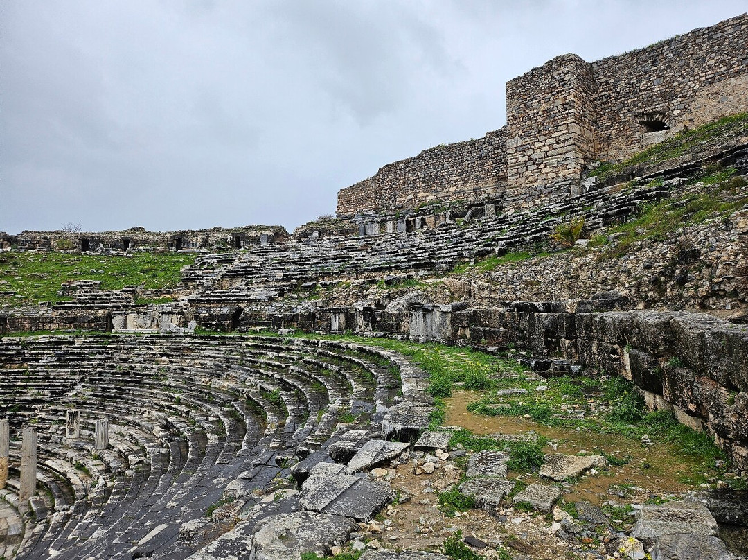 Milet Antik Kenti-迪迪姆必去景点