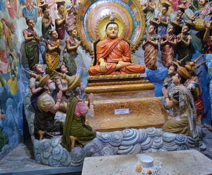 Enviro Bicycle Tours-尼甘布必去景点