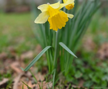 Packwood House-Lapworth必去景点