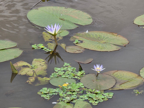 Parque Lacustre-Castro必去景点