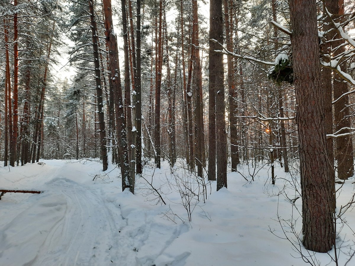 威乐斯生态酒店-浴室