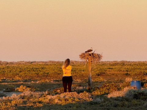 Baja Ecotours-San Ignacio必去景点
