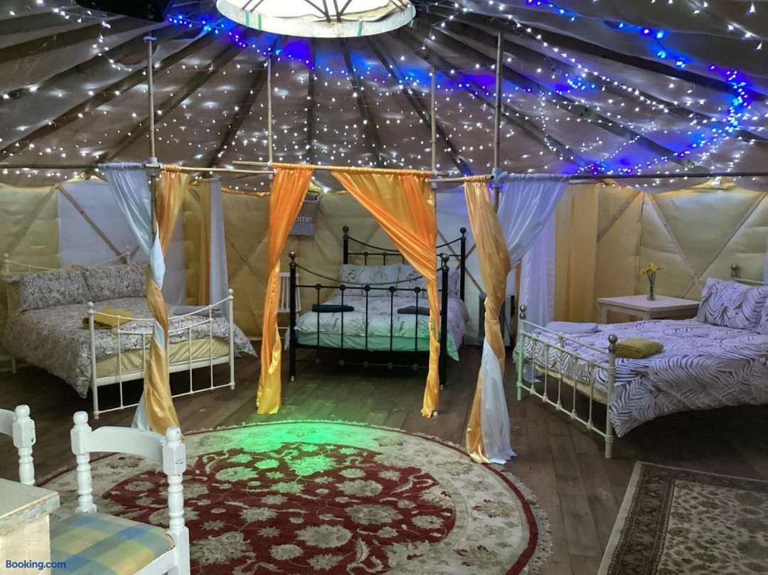 Vigo Retreat Boat yurt