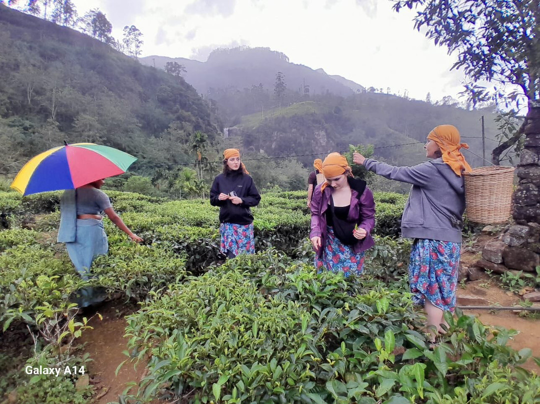 Kiyara Tours Sri Lanka-卡卢特勒必去景点