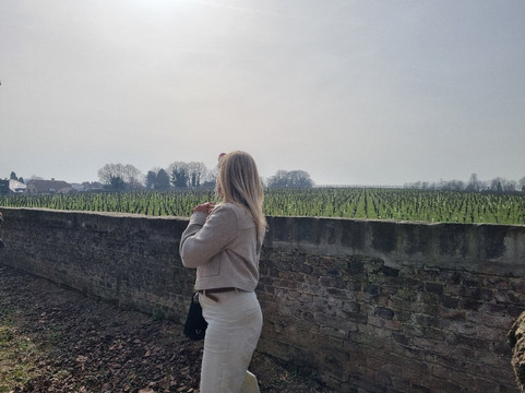 Wijnkasteel Genoels-Elderen-Riemst必去景点