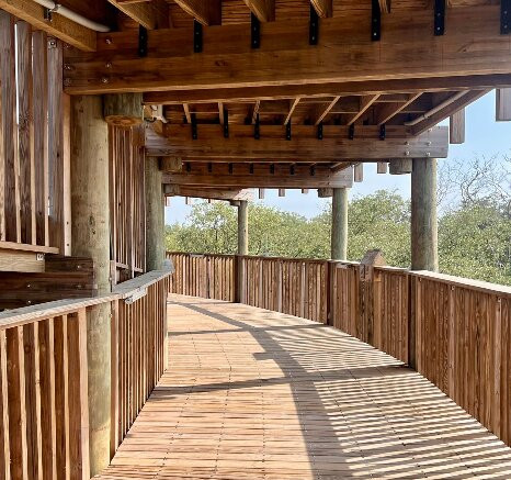 Ecoparque Ciénaga De Mallorquín-Barranquilla必去景点