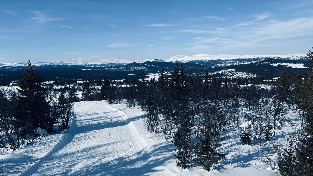 Gala Hogfjellshotel-旅行者
