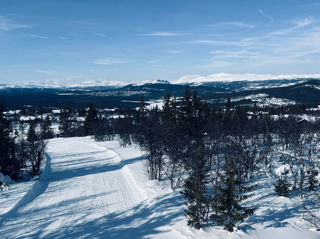 Gala Hogfjellshotel主图