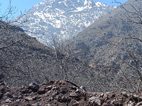 Mosalah Treck & More-伊姆利勒必去景点