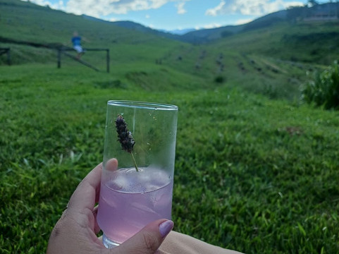 Lavandário Mantiqueira-Itamonte必去景点